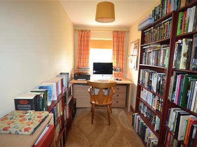 Picture 15